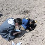 堂ヶ山町の水田での土壌調査(2) 土壌断面調査