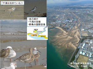 干潟は生きている