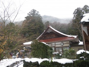 IMG_0905