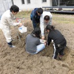 実験ほ場での土壌調査実習(2)
