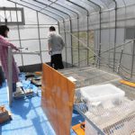 温泉水自動灌漑装置製作中(1)