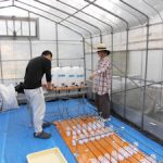 温泉水自動灌漑装置の給水量を検定(2)