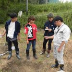 土壌調査演習(2)