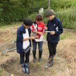 土壌調査演習(3)